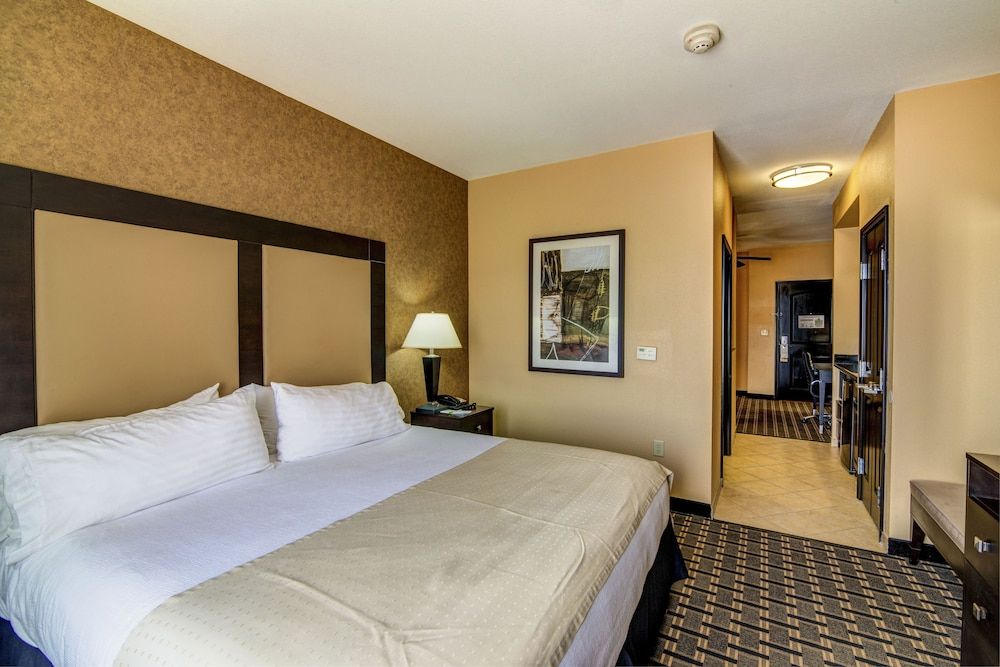 Suite, 1 King Bed, Accessible (Mobility, Roll-In Shower)