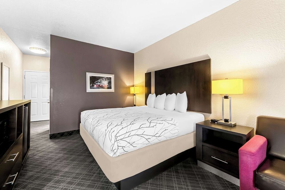 Best Western Boerne Inn & Suites Standard Room, 1 King Bed, Non Smoking, Refrigerator & Microwave (with Sofabed) 3