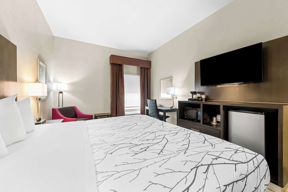 Standard Room, 1 King Bed, Non Smoking, Refrigerator & Microwave