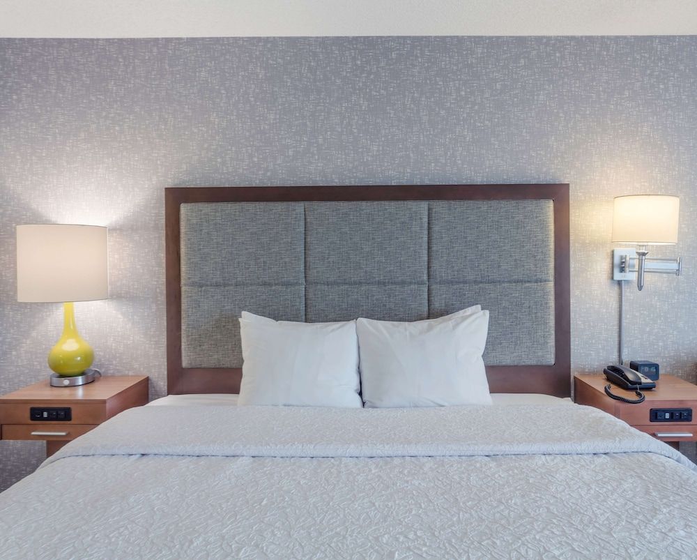 Suite, 1 Bedroom, 1 King with Sofa Bed