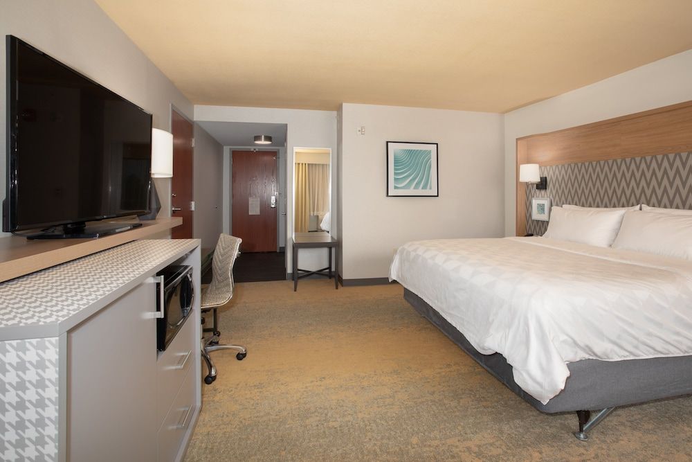 Standard Room, 1 King Bed, Accessible (Communications, Roll-In Shower)