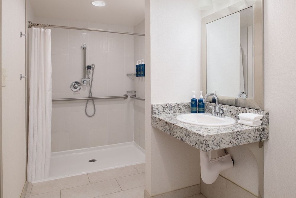 Traditional Room, 1 King Bed, Non Smoking (Mobility Accessible, Roll-In Shower)