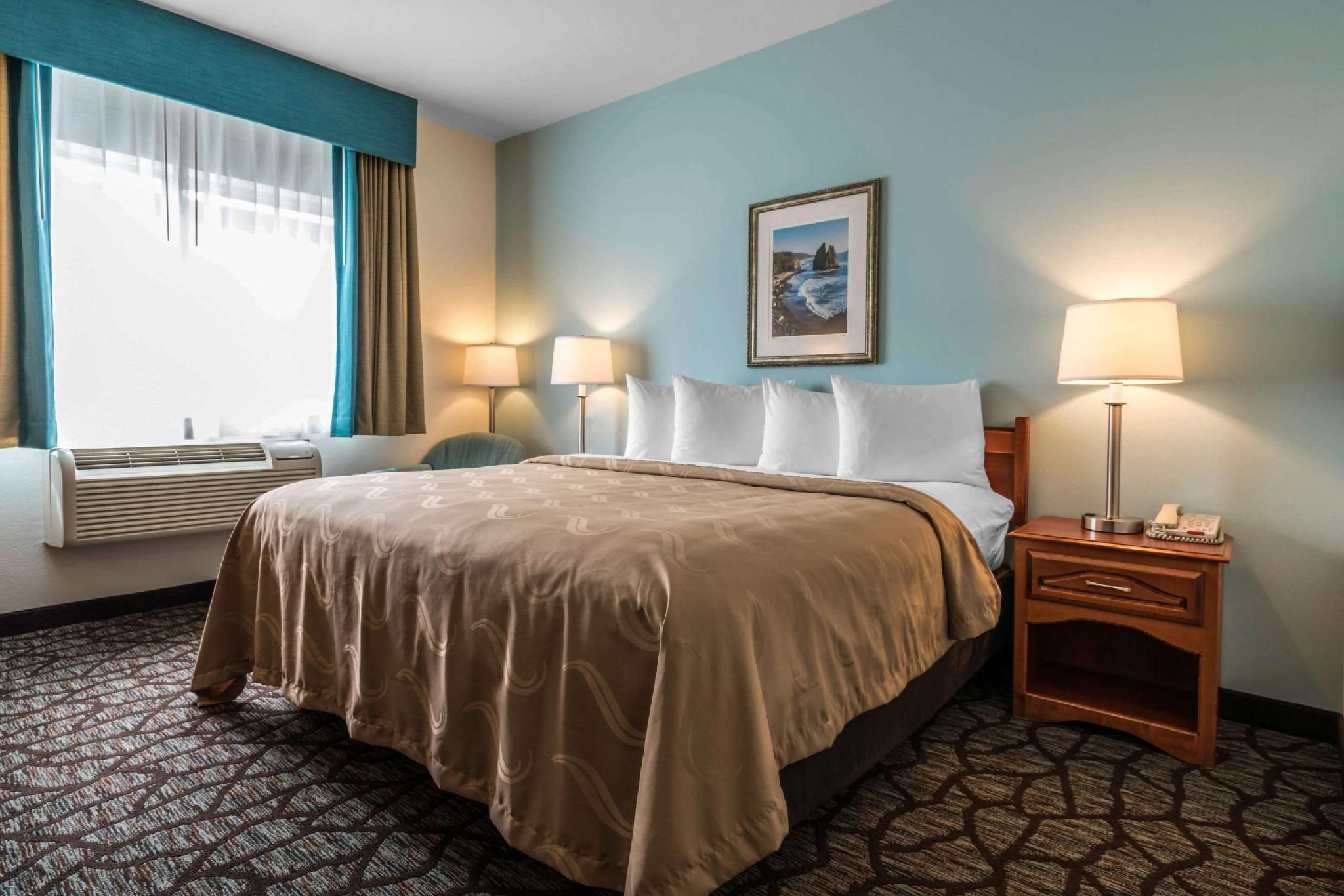 1 King Bed, Nonsmoking, Accessible