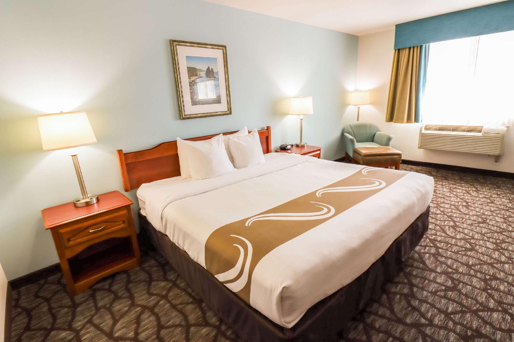 1 King Bed, Nonsmoking, Accessible