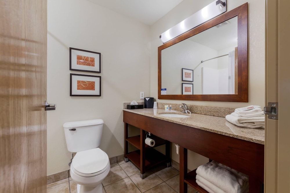 Suite, 1 King Bed with Sofa bed, Non Smoking