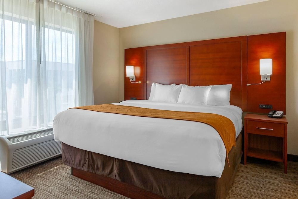 Suite, 1 King Bed with Sofa bed, Non Smoking (Efficiency)