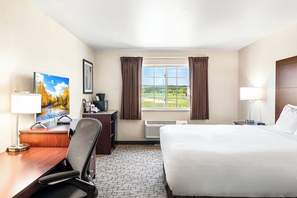 Room, 1 King Bed, Non Smoking