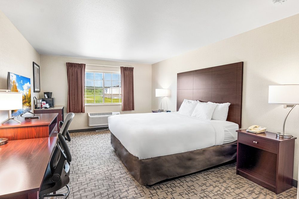 Room, 1 King Bed, Non Smoking