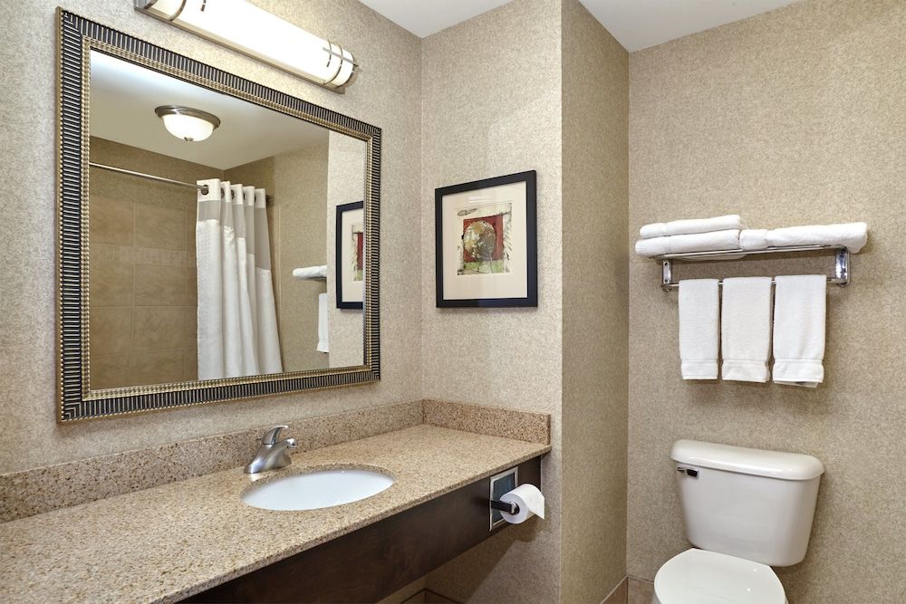 Suite, 1 King Bed with Sofa bed