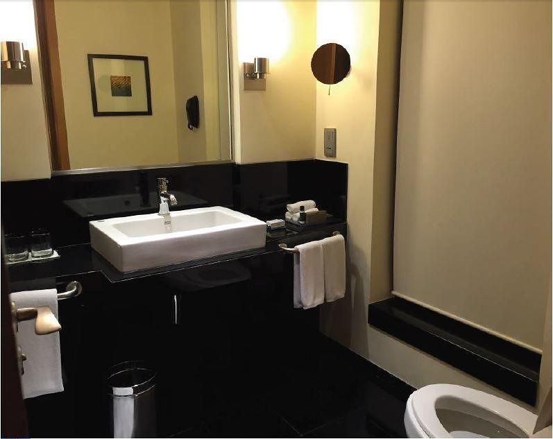 Room, 1 King Bed (Hyatt)