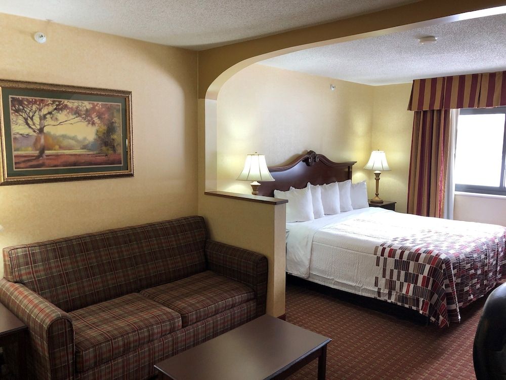Standard Suite, 1 King Bed with Sofa bed, Non Smoking