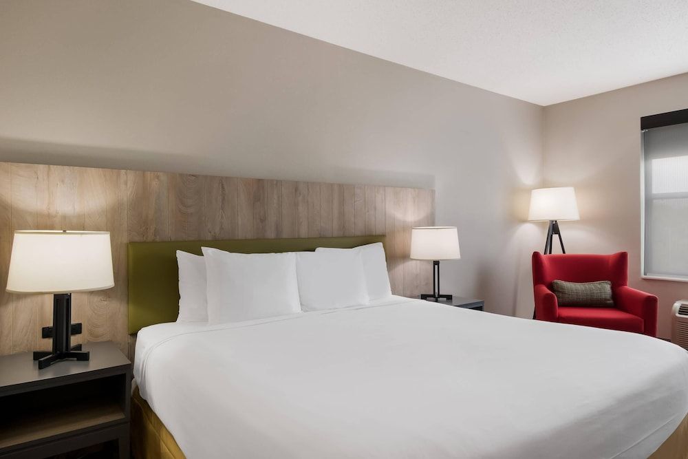 Room, 1 King Bed, Non Smoking