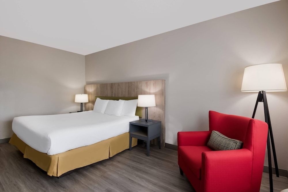 Room, 1 King Bed, Non Smoking