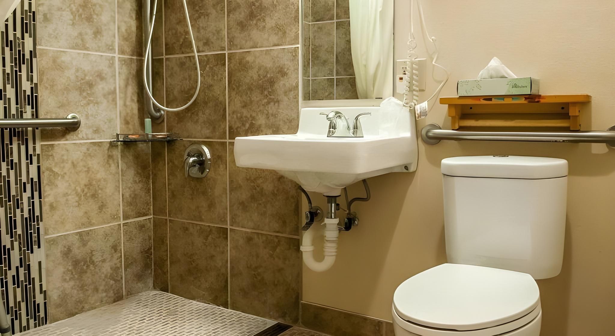 1 King Bed, Suite, Nonsmoking, Accessible