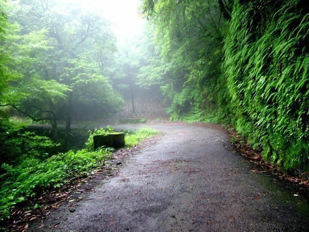 undefined Kampland Nature Resort 8