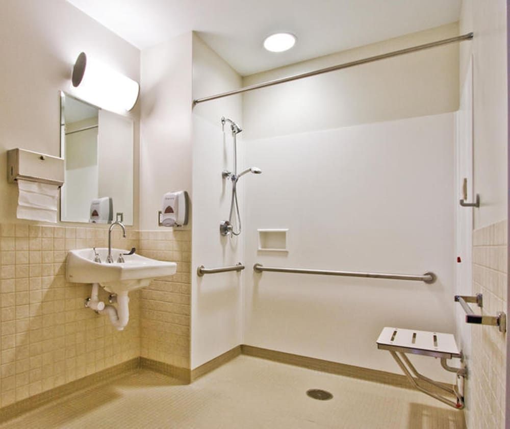 Room, 1 King Bed, Accessible, Non Smoking (Roll-in Shower)