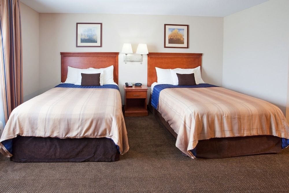 Studio Suite, 2 Double Beds