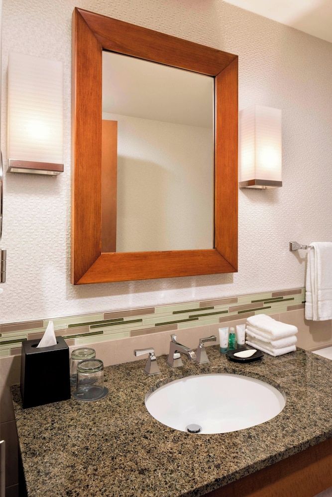Executive Room, 1 King Bed (Mobility/Hearing Access, Roll-In Shwr)