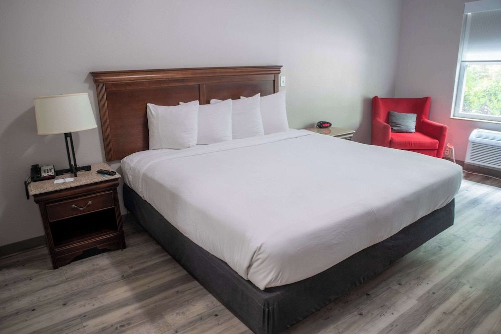 Room, 1 King Bed, Non Smoking