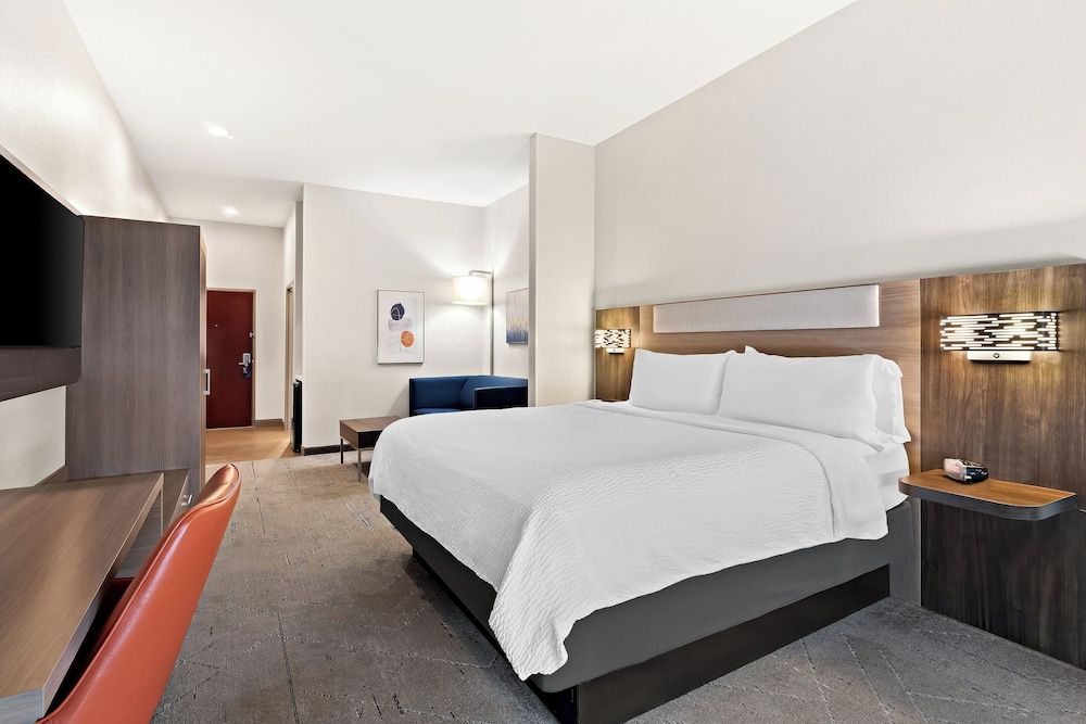 Suite, 1 King Bed with Sofa bed