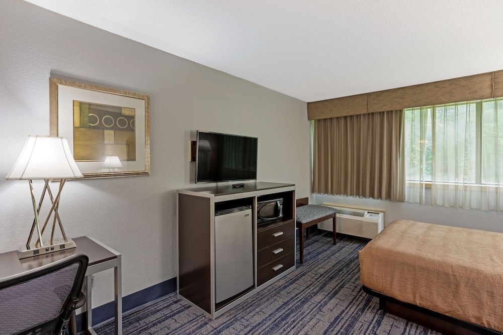 Standard Room, 1 Queen Bed with Sofa bed, Accessible, Refrigerator & Microwave (with Sofabed)
