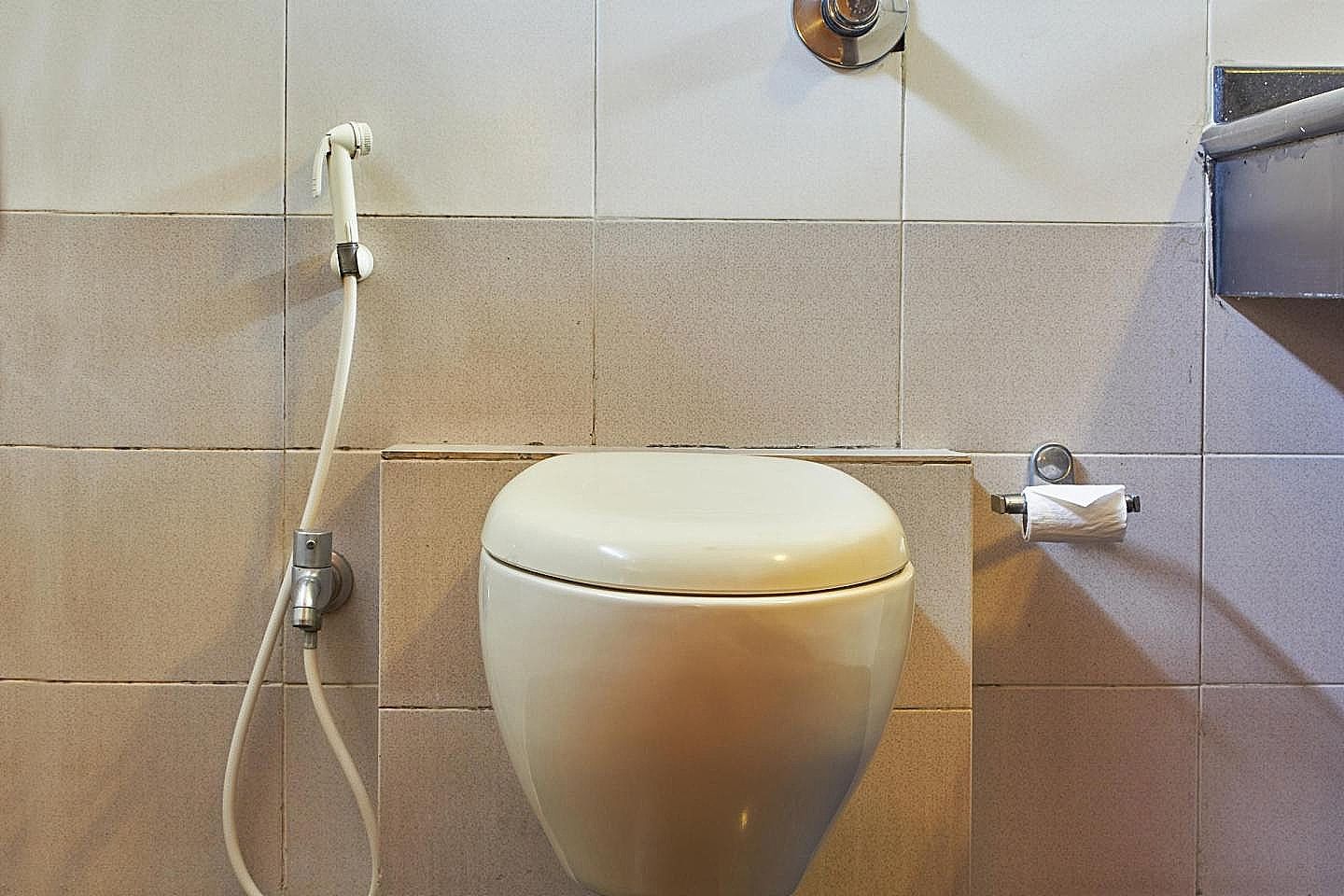 Bisque Magaji Orchid Standard AC 16