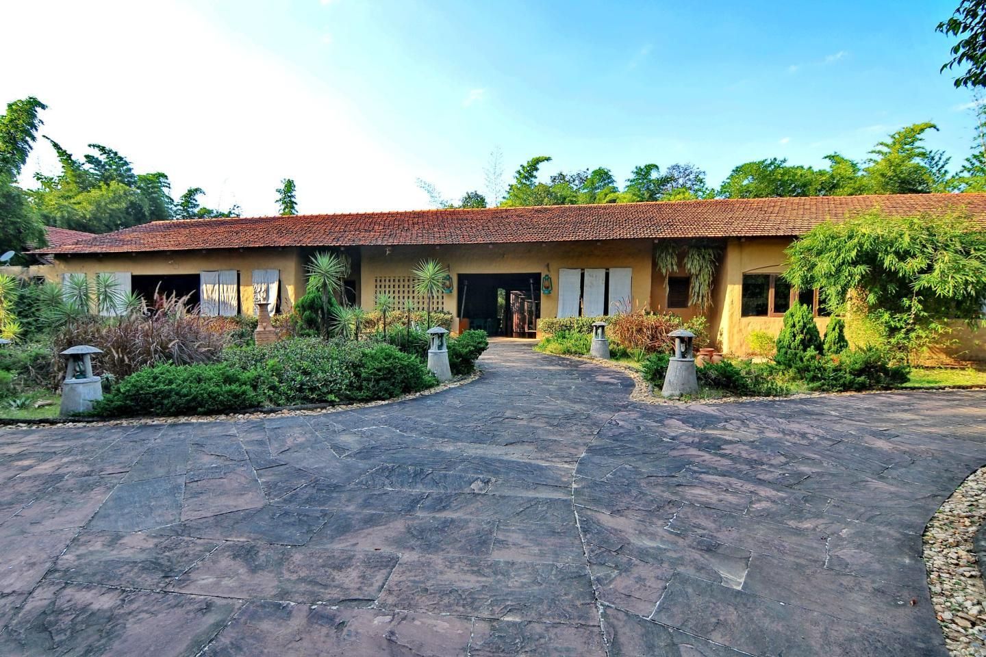 Celebration Van Vilas