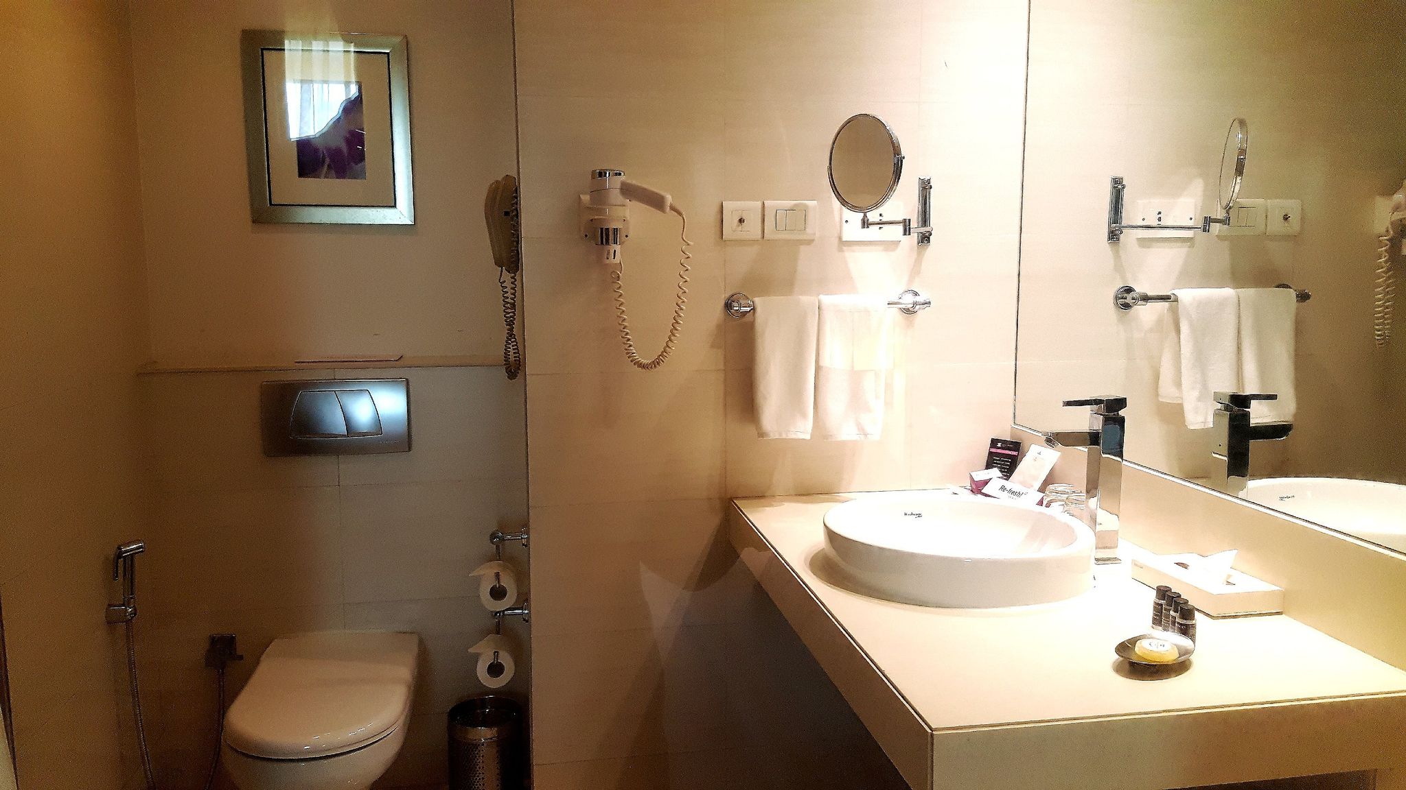 Royal Orchid Central, Pune Deluxe Room with Bathtub 5