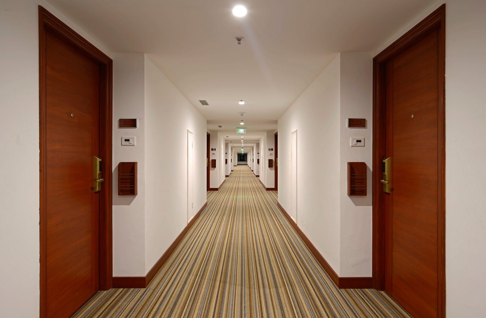 Secondary Image