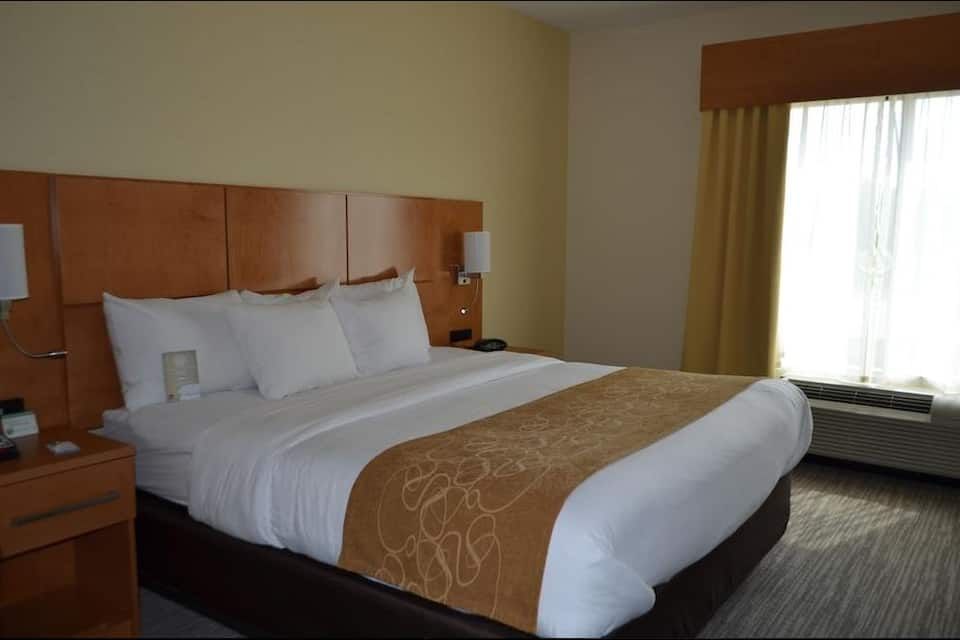 Maharaja Suite Room
