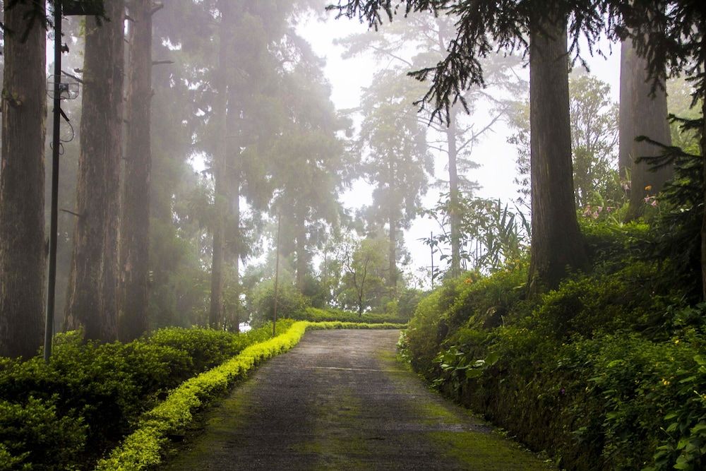 Goomtee Tea Garden Retreat