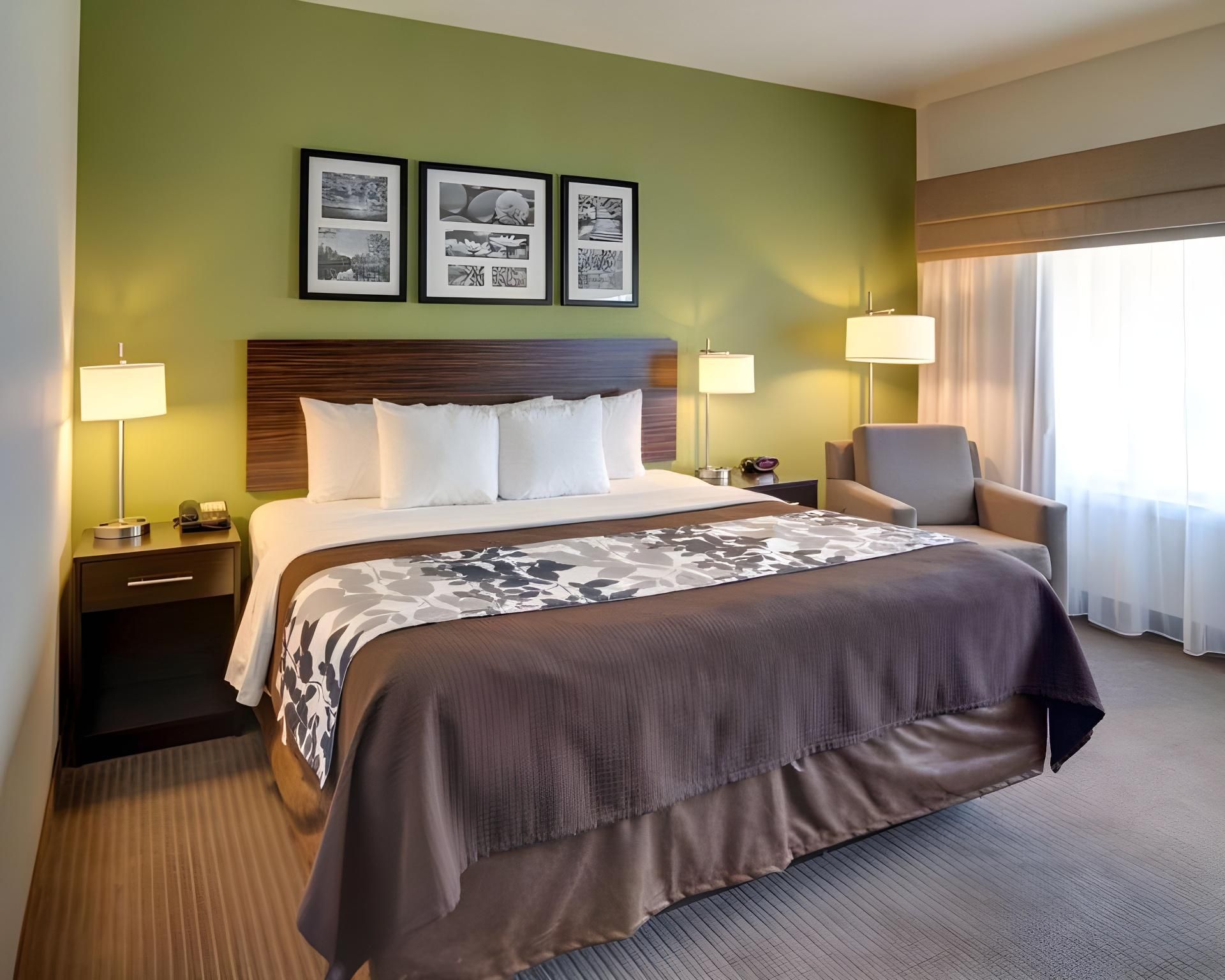1 King Bed, Suite, Nonsmoking