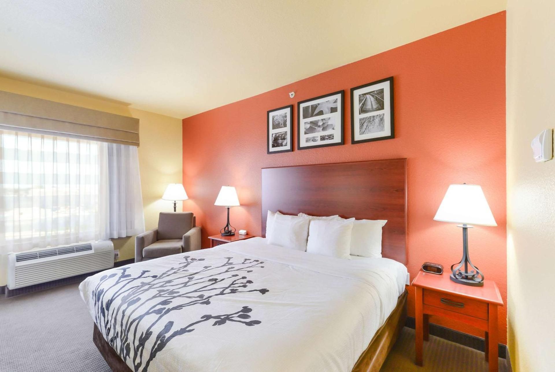 1 King Bed, Nonsmoking, Accessible
