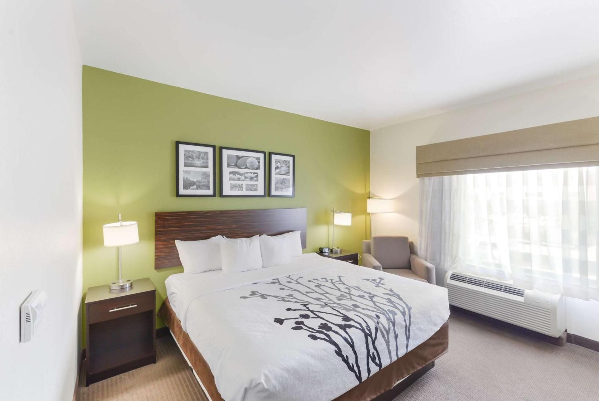 1 King Bed, Nonsmoking