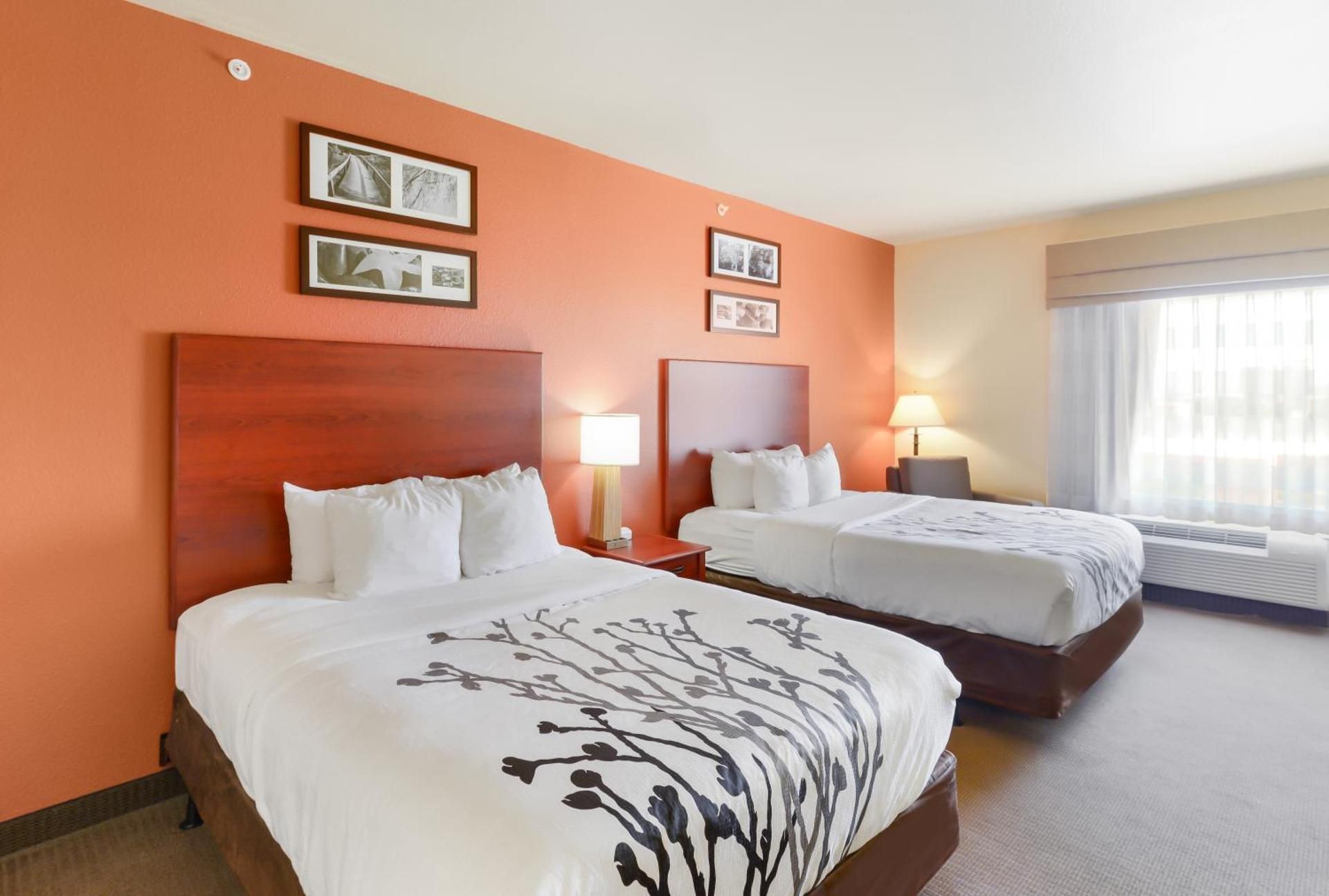 1 Queen Bed, Nonsmoking, Accessible