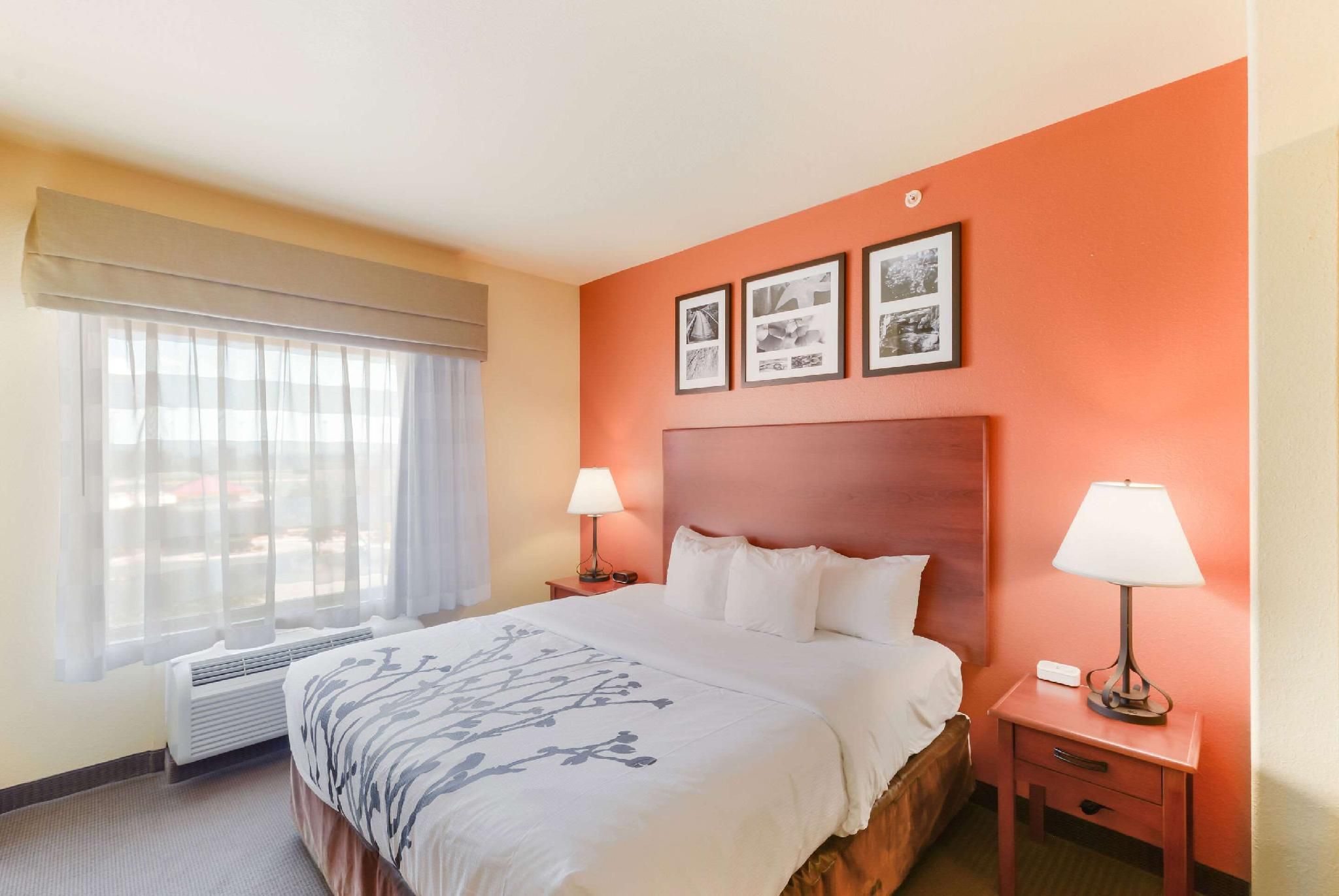 1 Queen Bed, Nonsmoking, Accessible