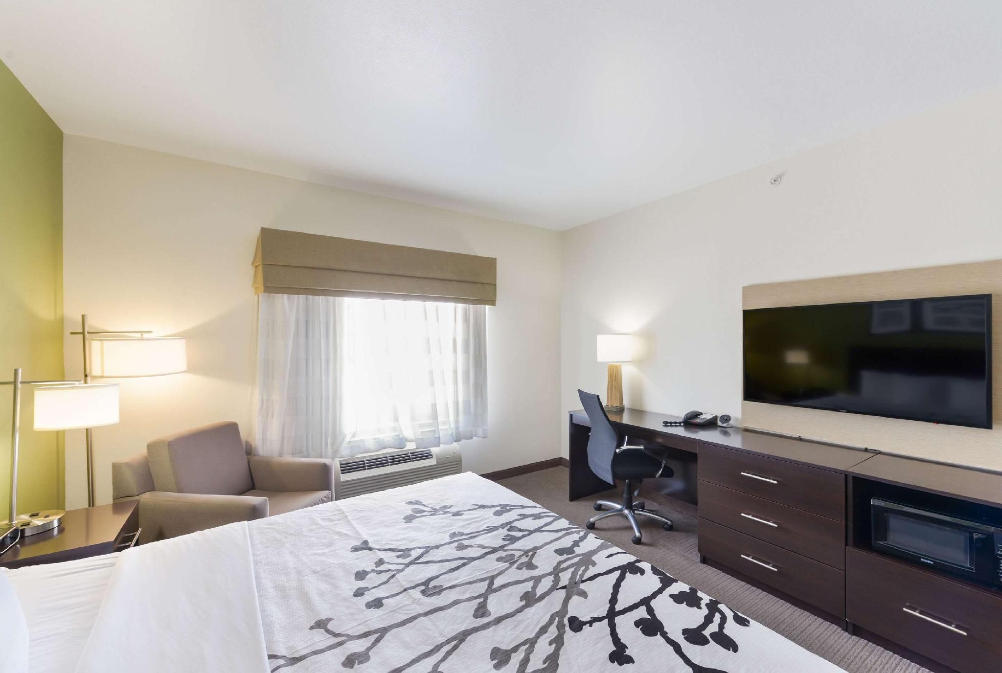 1 King Bed, Nonsmoking