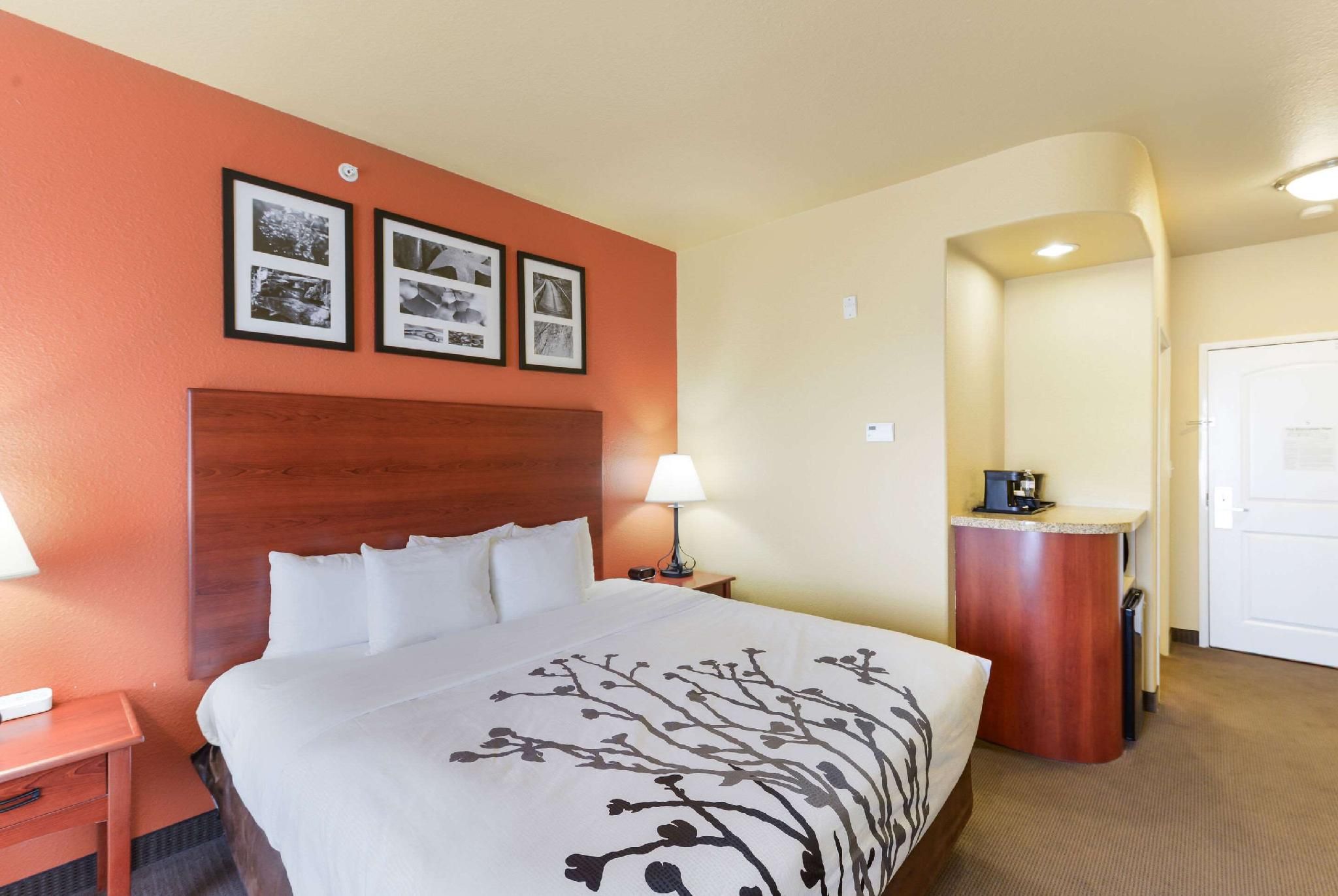1 King Bed, Nonsmoking, Accessible