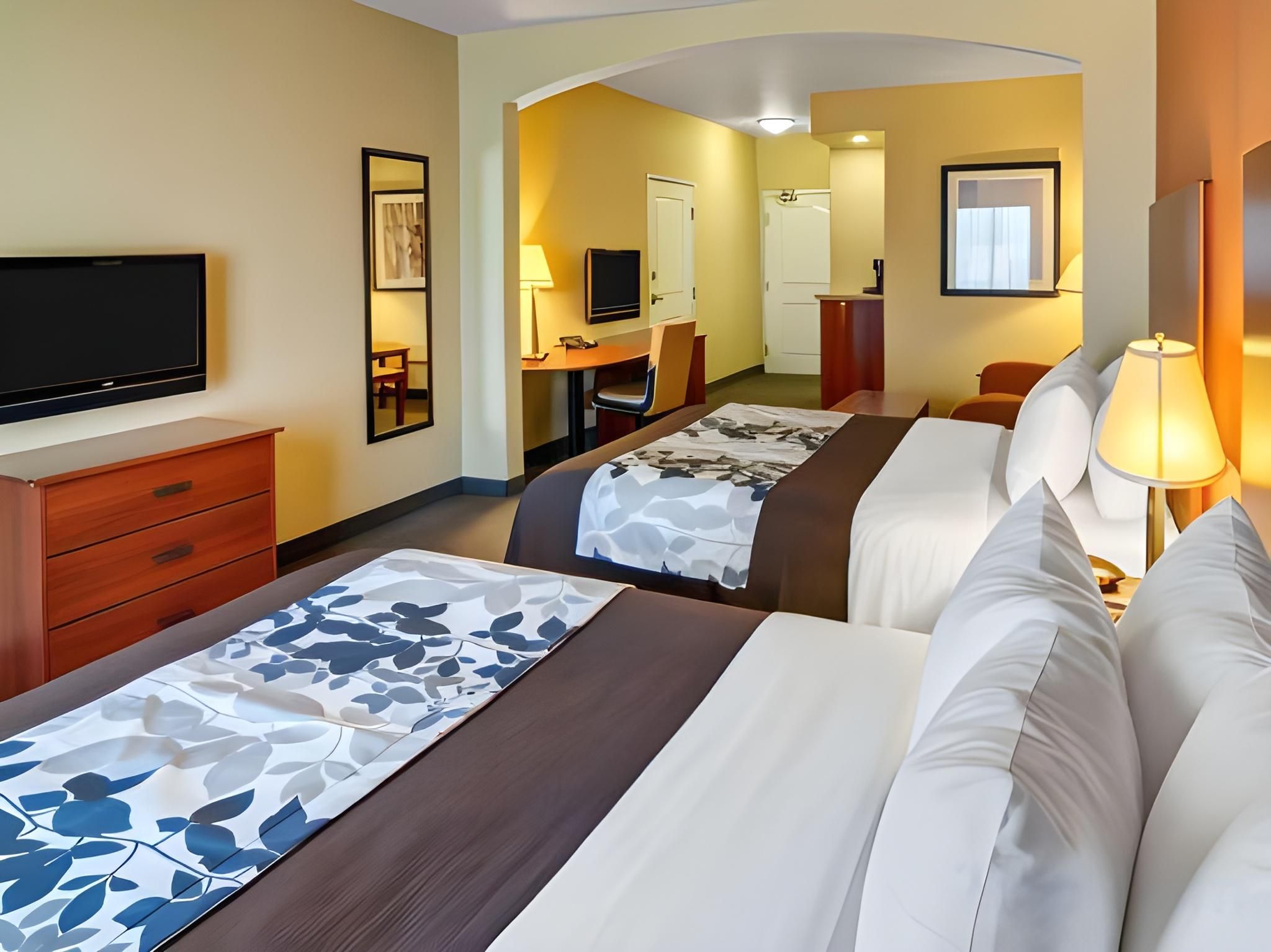 1 King Bed, Suite, Nonsmoking