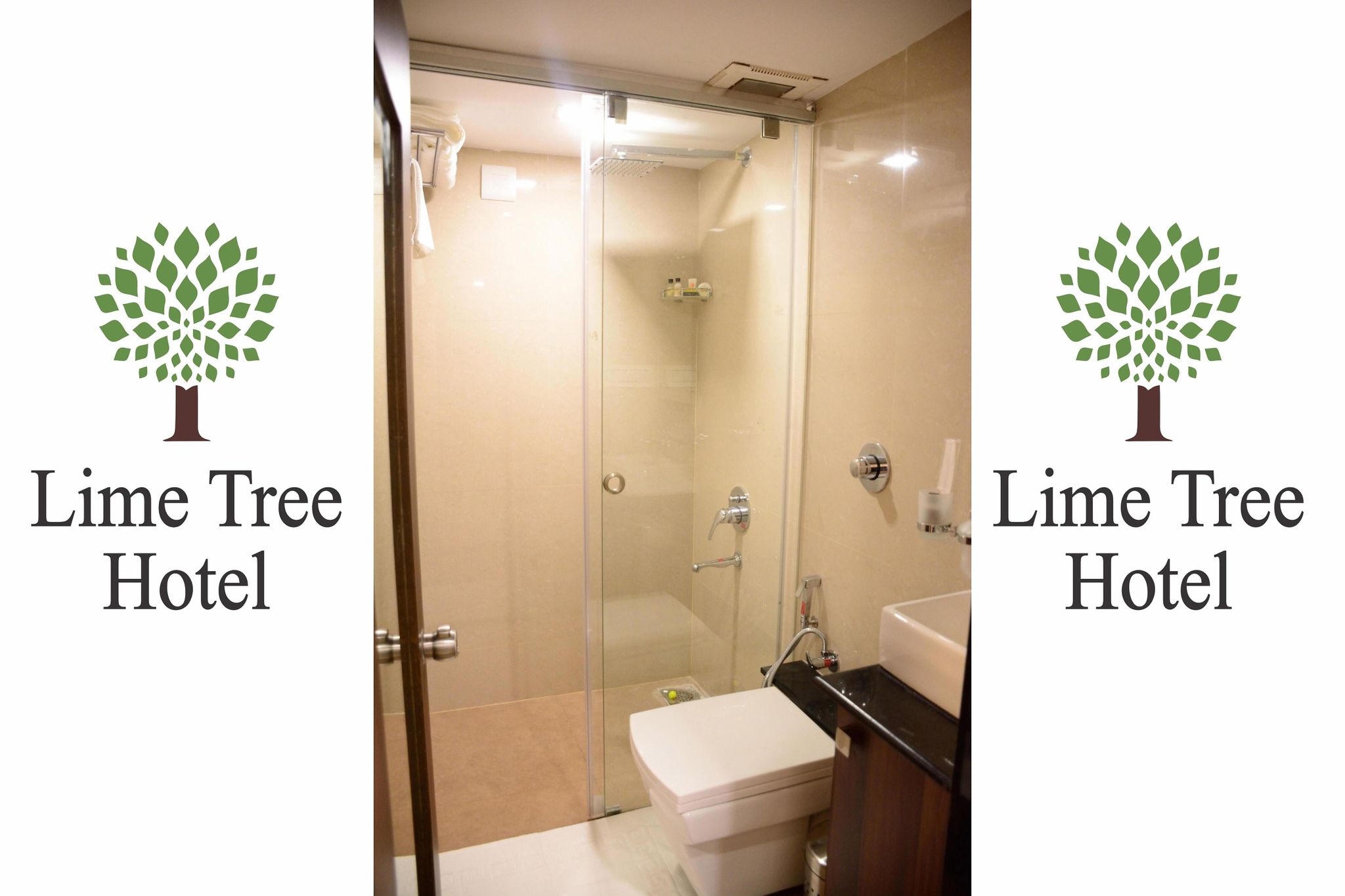 Lime Tree Hotel Standard AC Room 6