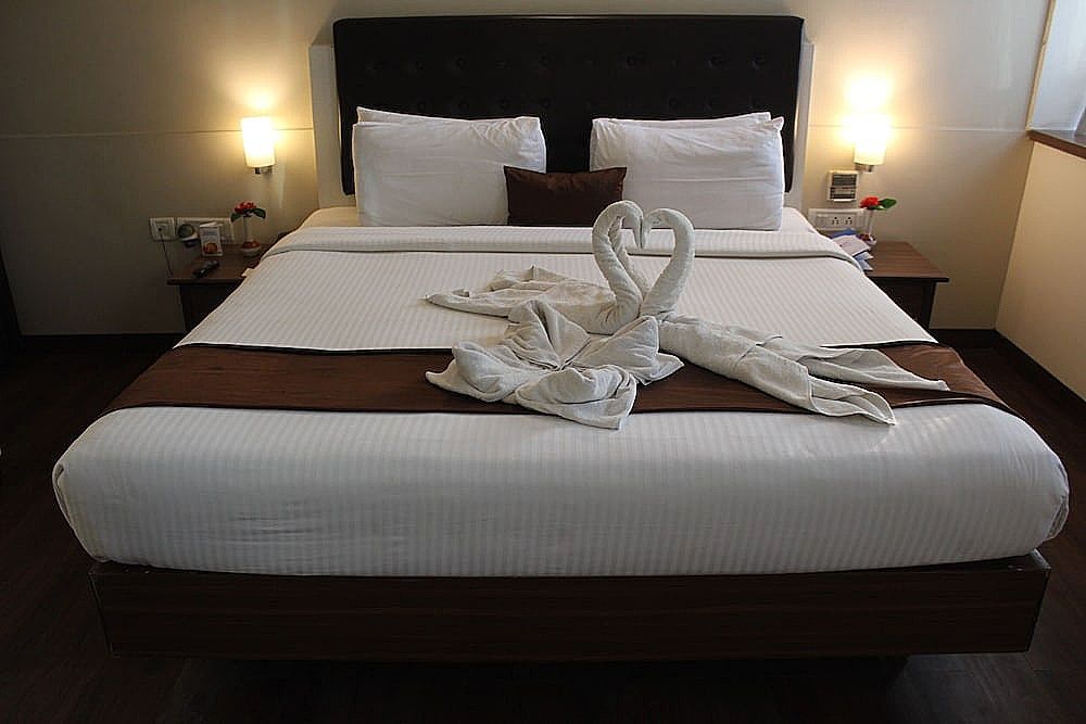 Avexia Premiere Agra Deluxe Room 19