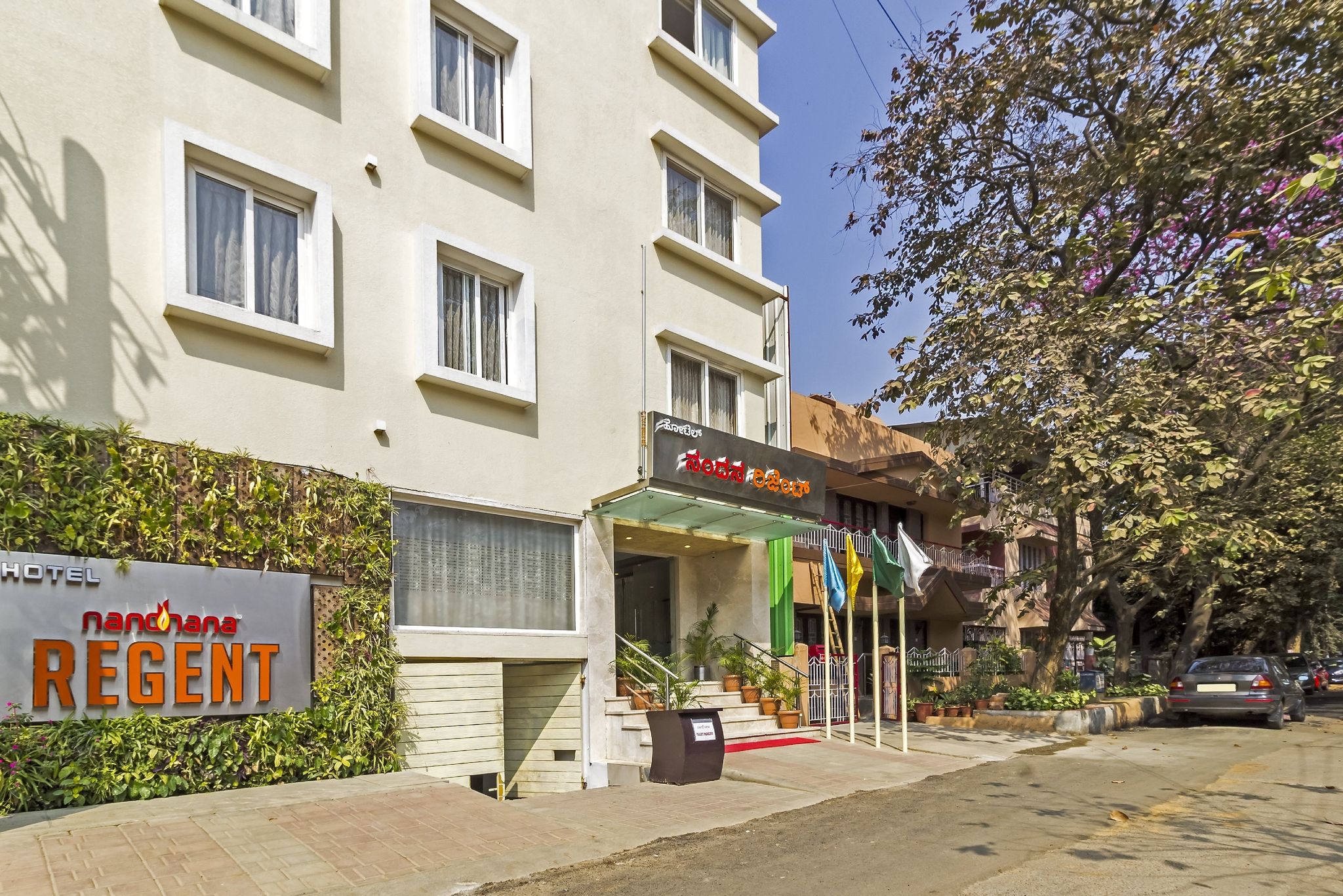 undefined LA SARA REGENT 10