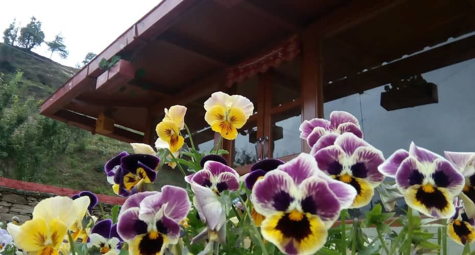 undefined Panchachuli House 7