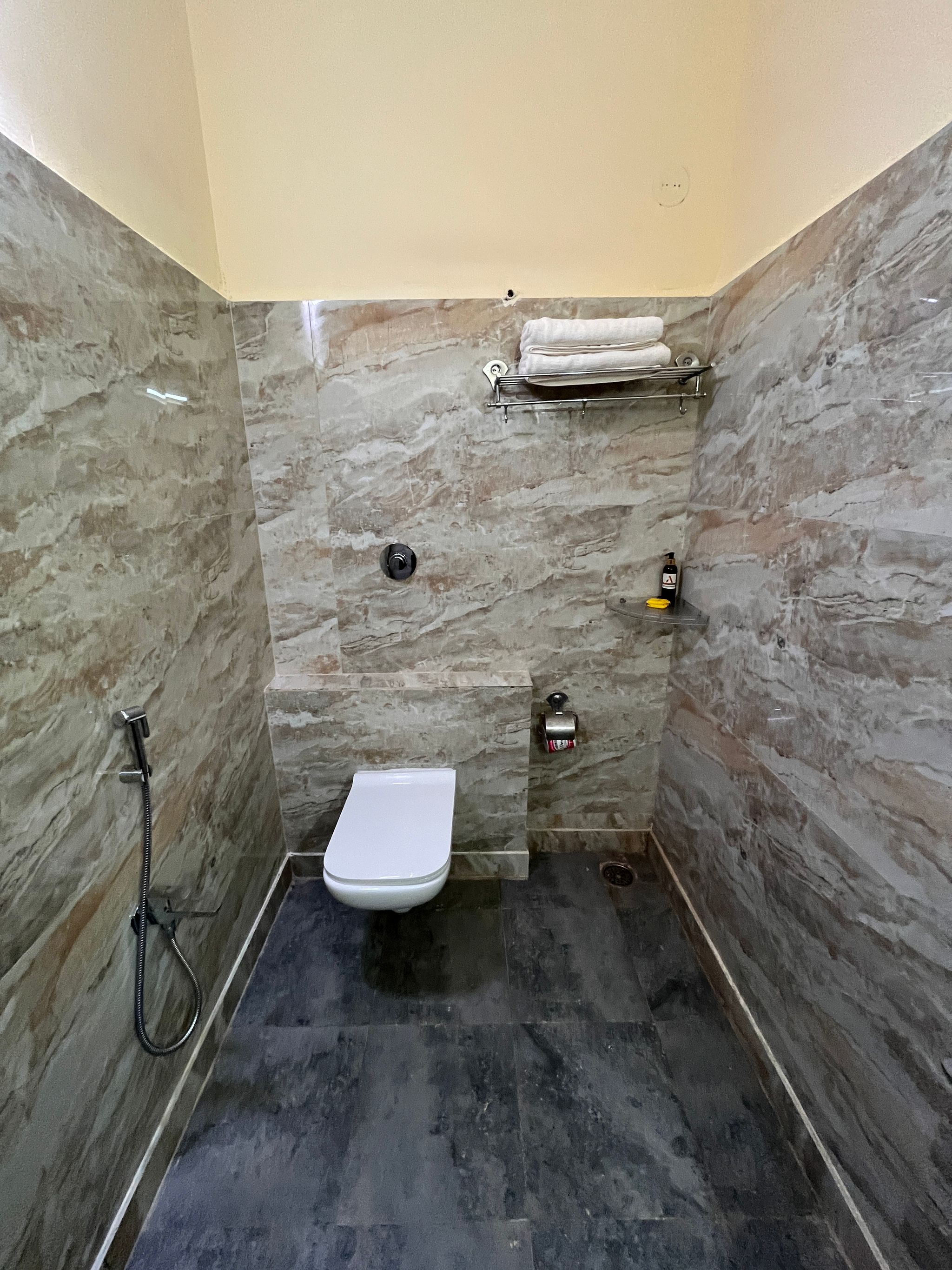 ANANYA COMFORTSS Deluxe Room 10