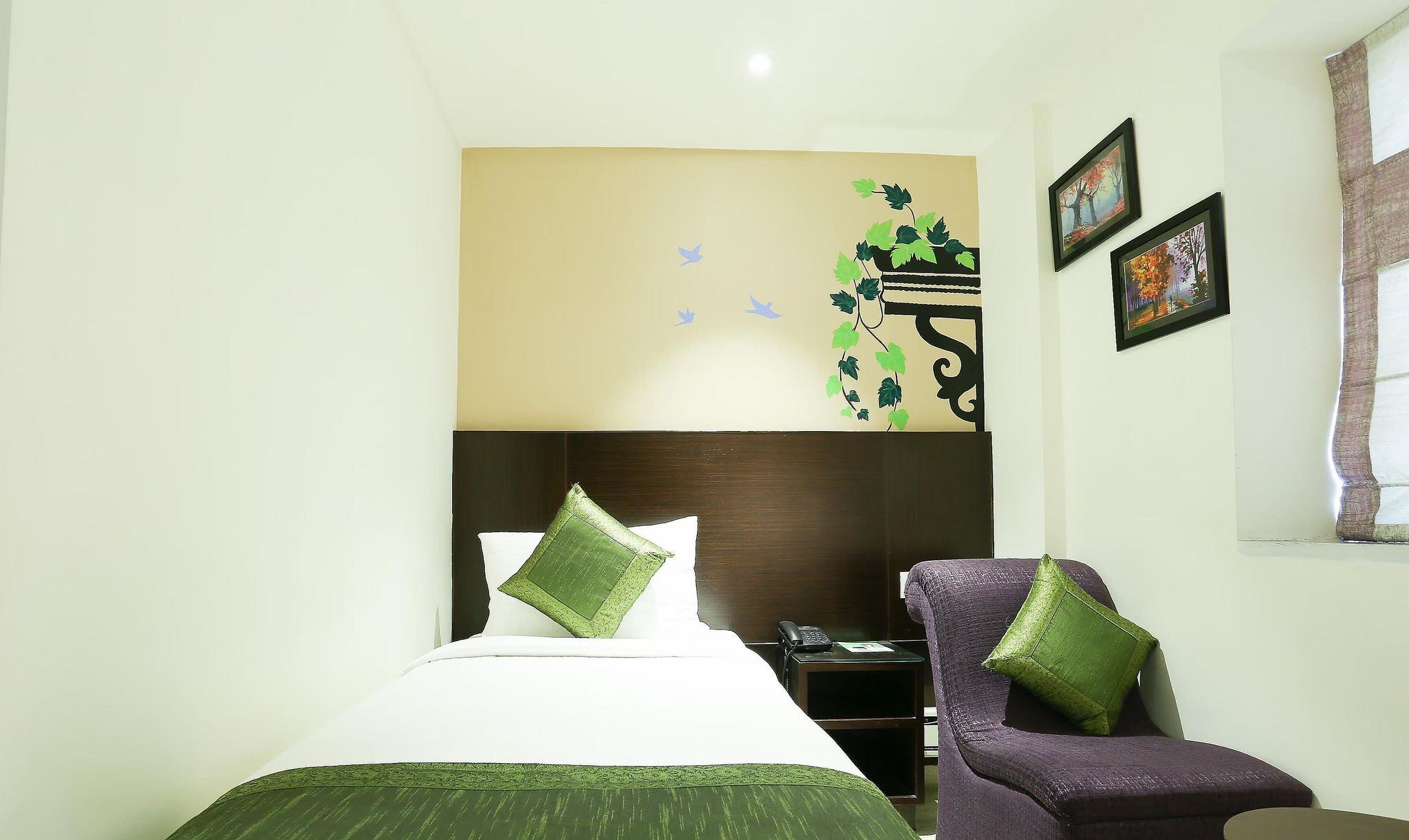 Treebo C Plaza Standard Double Room 4