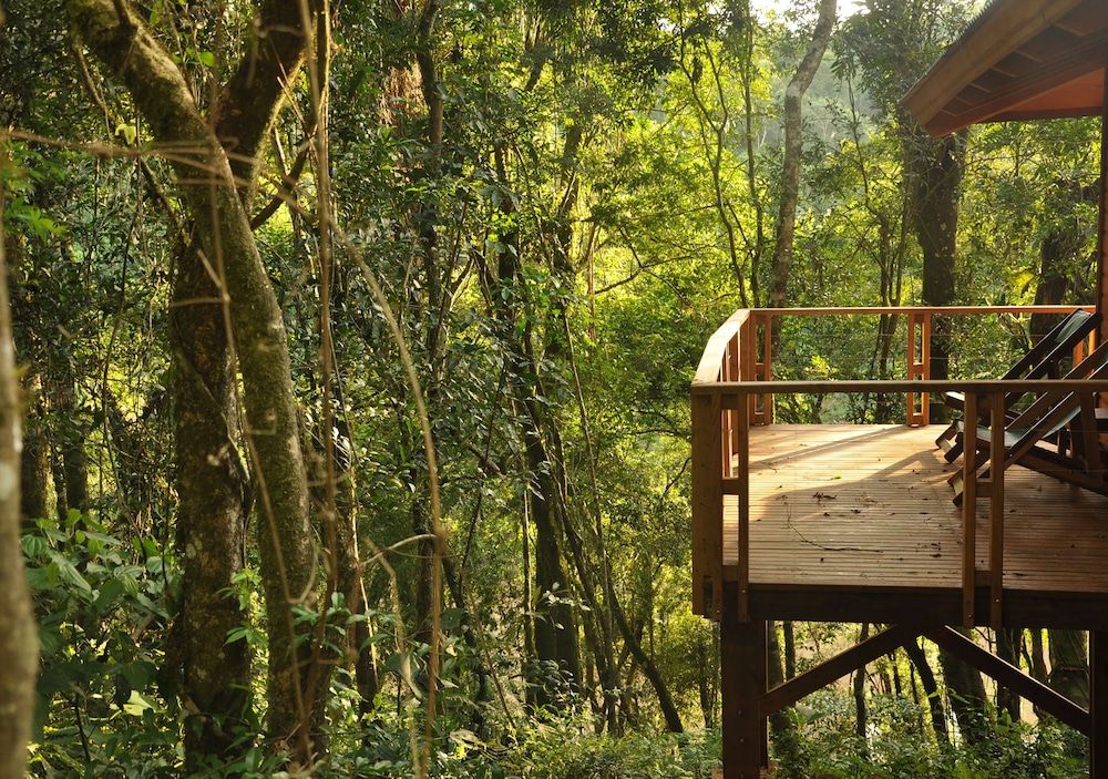 Mocona Virgin Lodge Superior Double or Twin Room 5