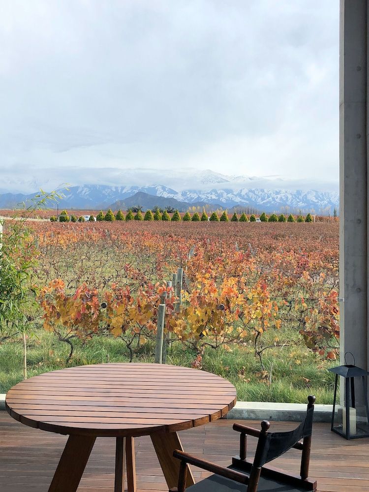 Casa de Uco Vineyards & Wine Hotel Villa, 1 Bedroom 3