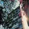 hotel_images