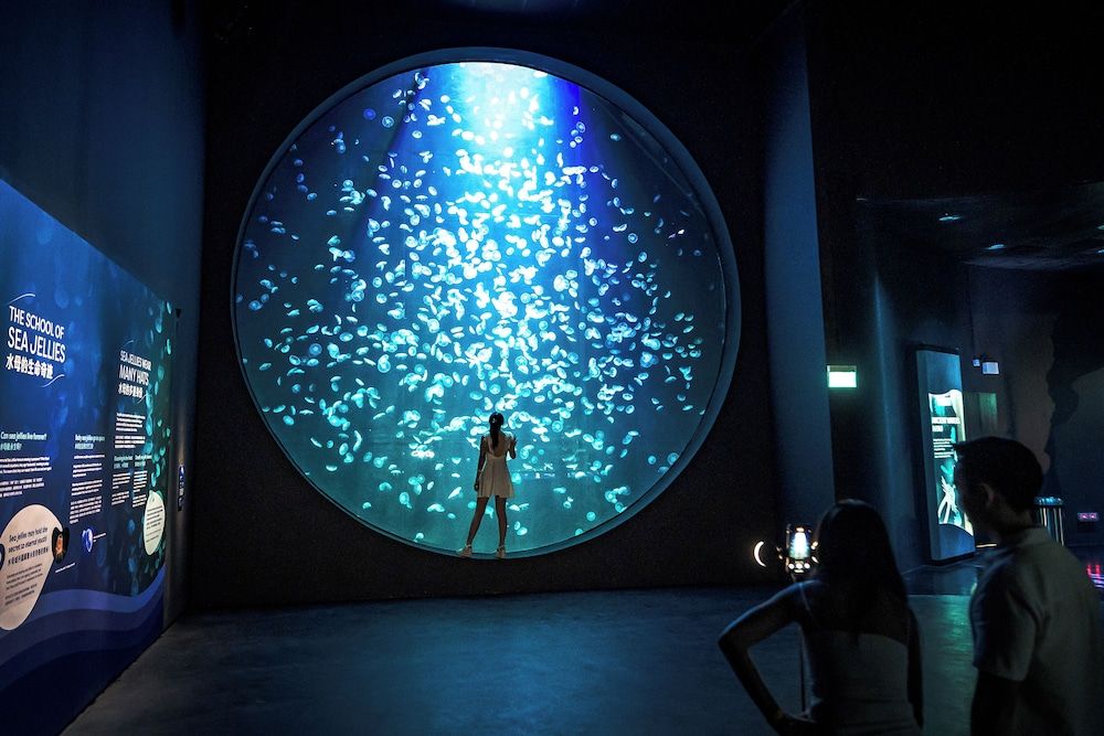 3D2N Seas The Day - Deluxe Room with Singapore Oceanarium Tickets for 2 persons