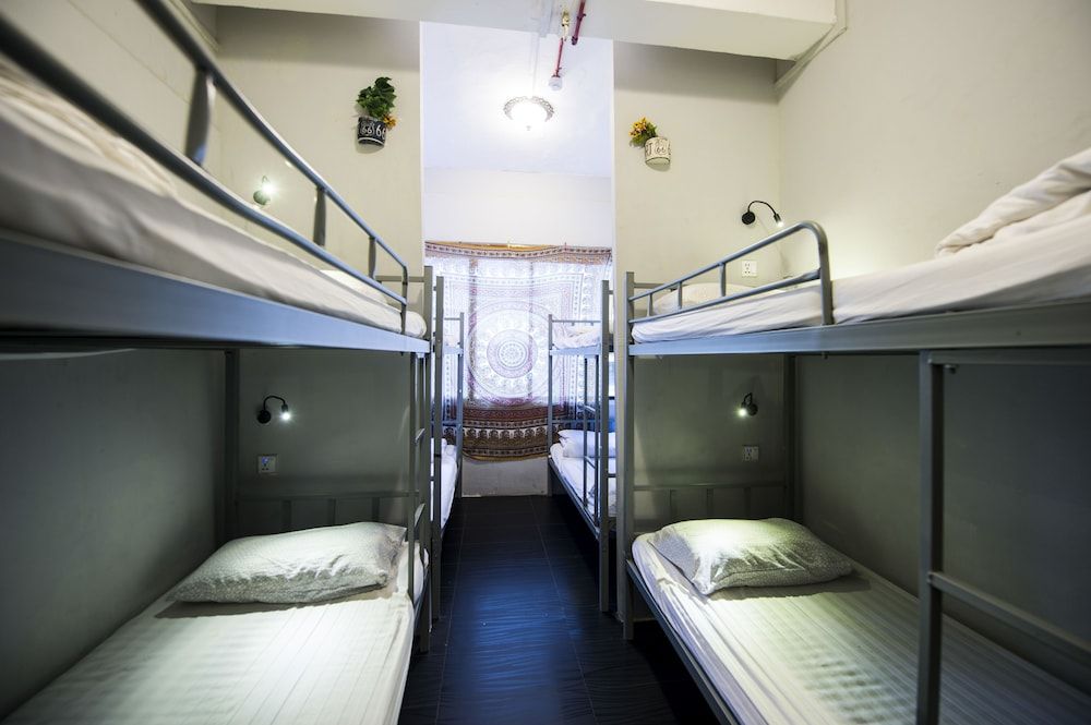 Single Bed in Superior 8-Beds Dormitory
